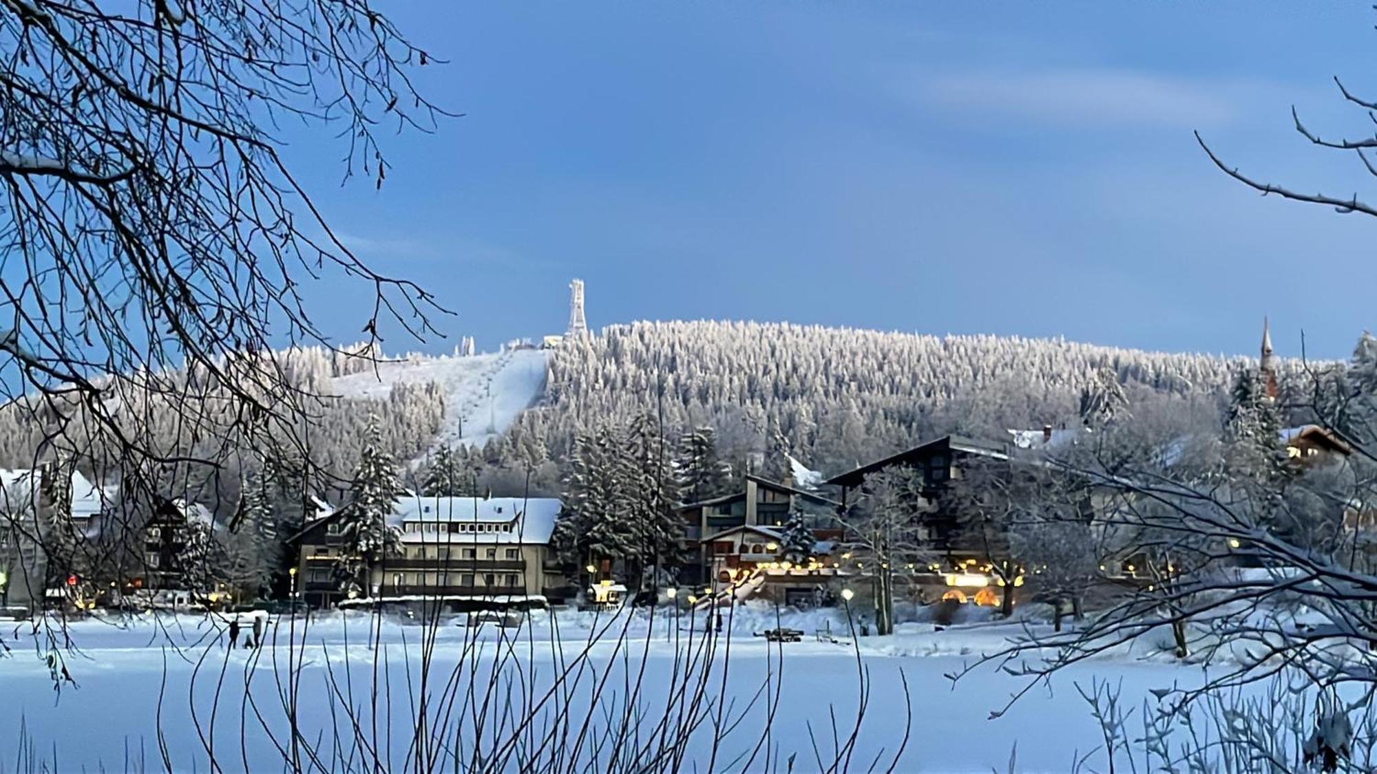 Wohnunghahnenkleeld Goslar